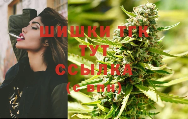 прущие грибы Абаза