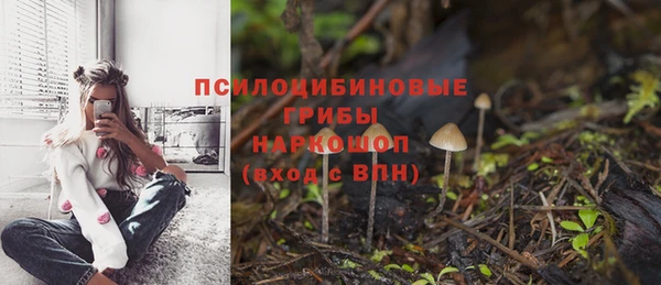 гидра Алзамай